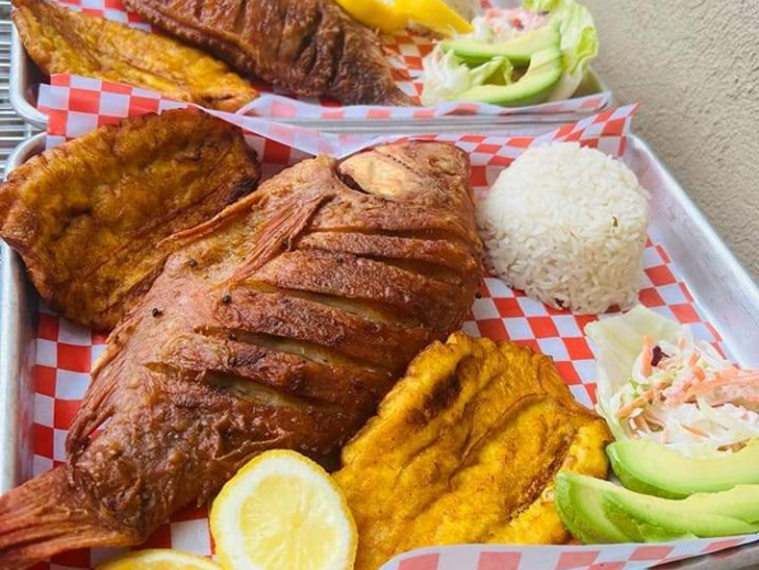 {{brizy_dc_image_alt imageSrc=